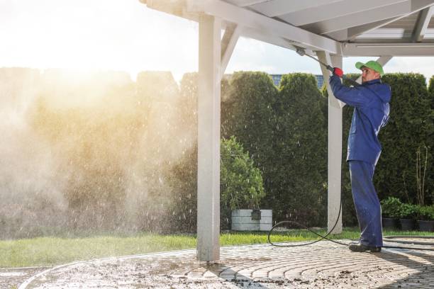 Best Driveway Cleaning and Restoration in Johnston City, IL